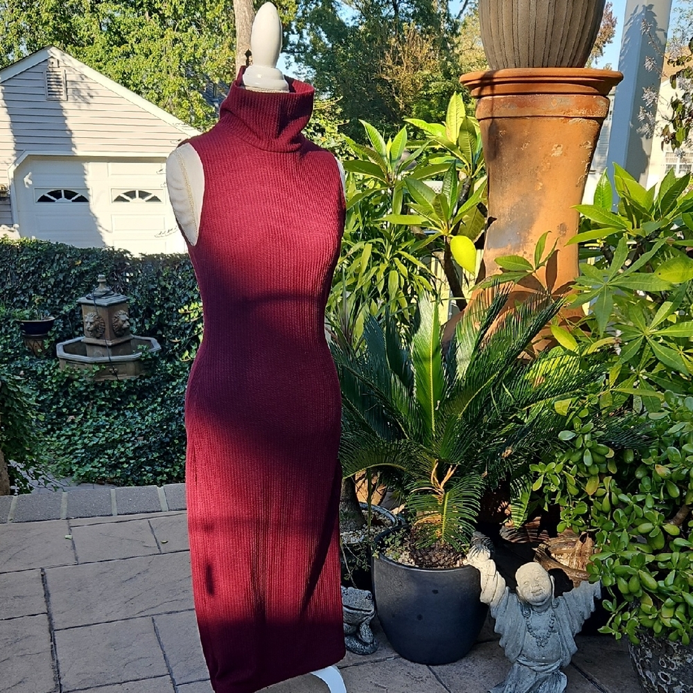 Silence + Noise Burgandy Maxi Dress